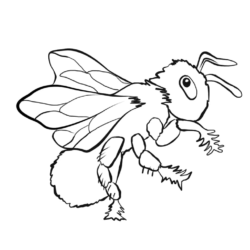 desenho-abelha-imprimir-01-250x250.gif