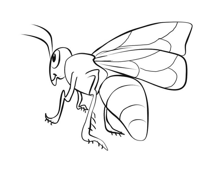 desenho-abelha-imprimir-02-800x710.gif
