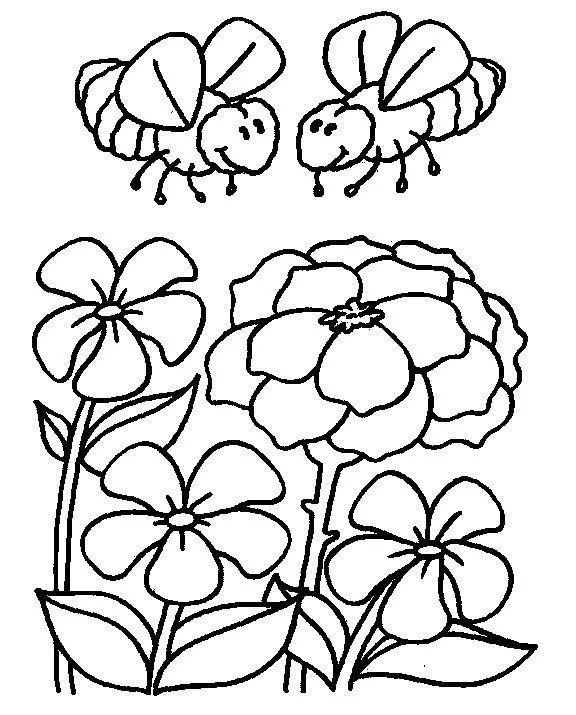 Abelhas