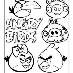 Angry Birds #1 para imprimir e colorir