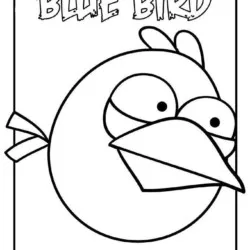 Angry Birds #2 para imprimir e colorir