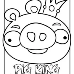 Angry Birds #3 para imprimir e colorir