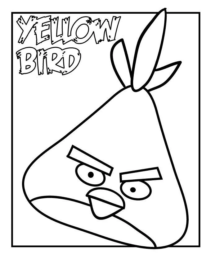 Angry Birds #5
