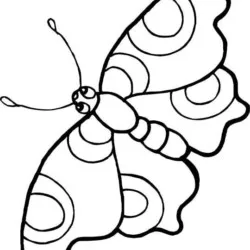 Borboletas para imprimir e colorir