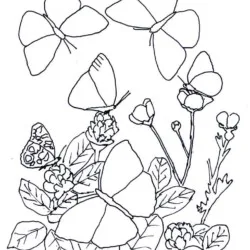 Borboletas para imprimir e colorir