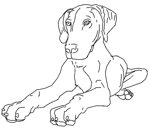 desenho-cachorro-imprimir3.gif