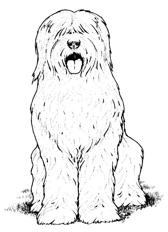 desenho-cachorro-imprimir7.gif