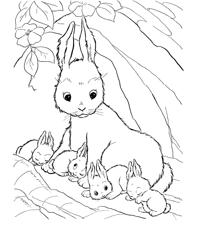 desenho-coelho-imprimir13.gif