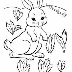 40 Desenhos de Coelhos para Colorir, Pintar e Imprimir - Online Cursos  Gratuitos