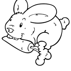 40 Desenhos de Coelhos para Colorir, Pintar e Imprimir - Online Cursos  Gratuitos