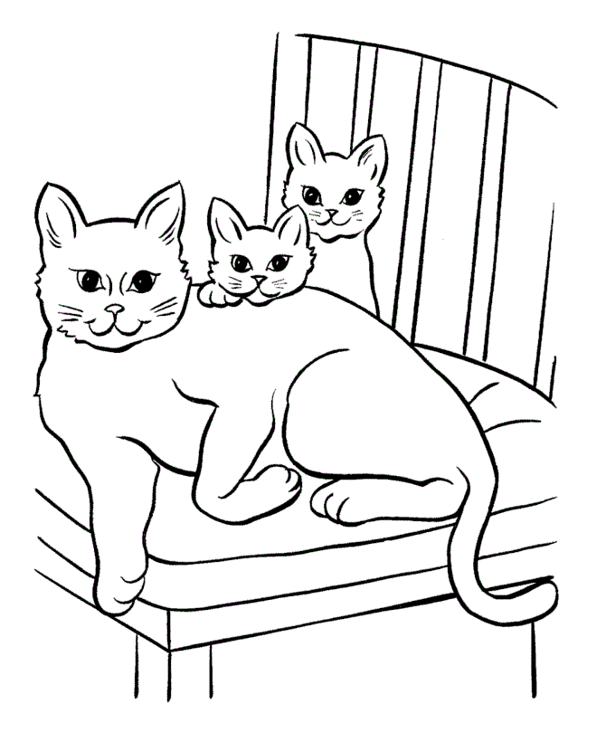 desenhos para colorir gatos