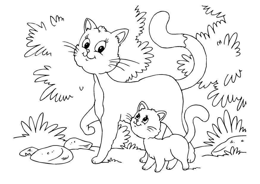 desenho para colorir gato
