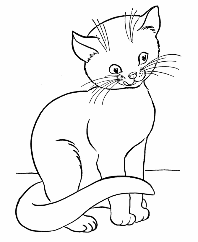 gato fofo desenho kawaii