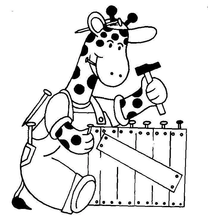 Girafas