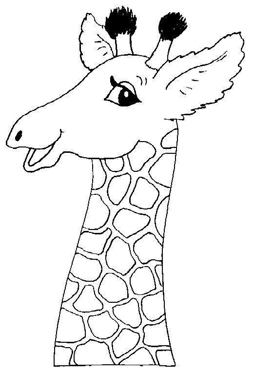 Girafas