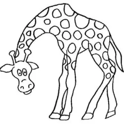 Girafas para imprimir e colorir