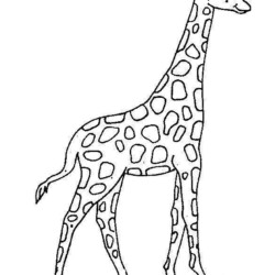 Desenhos para colorir de desenho de uma girafa para colorir online  