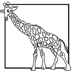 Girafas para imprimir e colorir