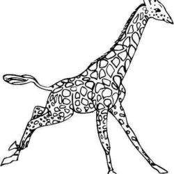 Girafas para imprimir e colorir