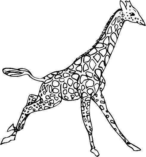 Girafas