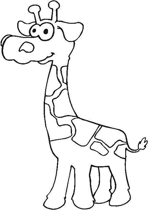 Girafas