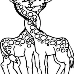 Girafas para imprimir e colorir