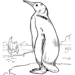 Pinguins