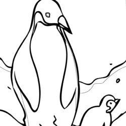 Pinguins