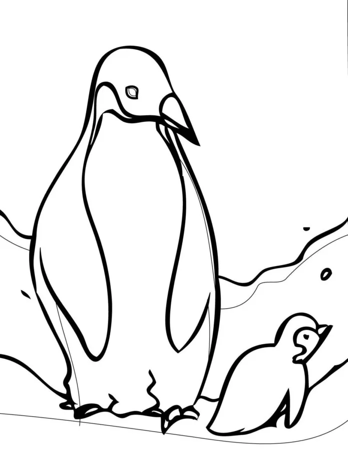 Pinguins