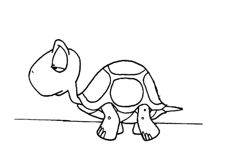 Tartarugas