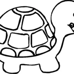 Tartarugas para imprimir e colorir
