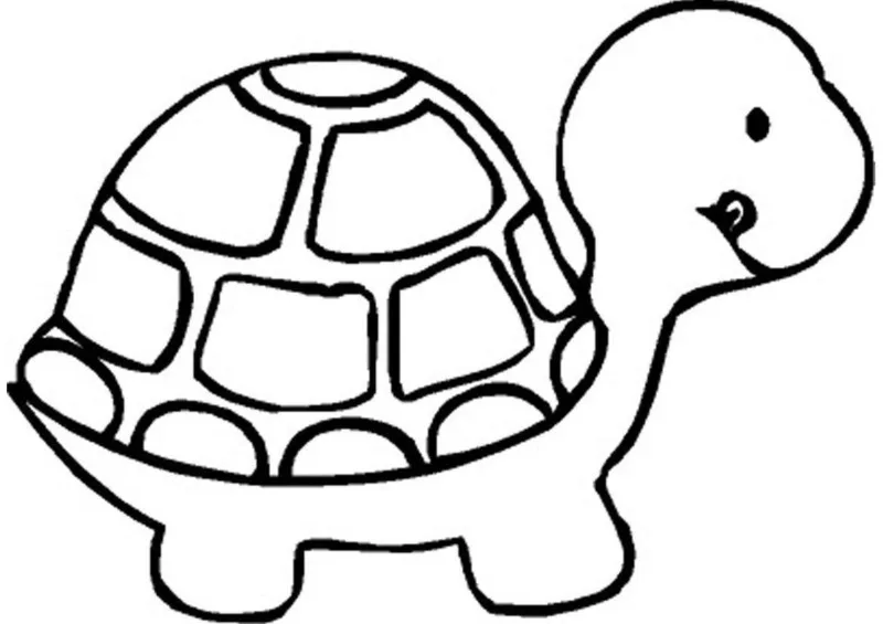 Tartarugas