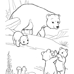 Urso fofinhos para colorir - Imprimir Desenhos