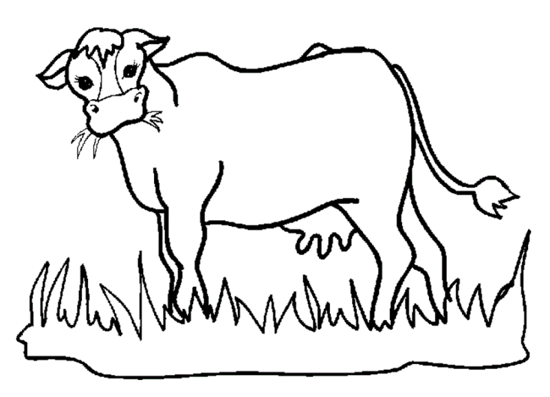 desenho-vaca-imprimir2-800x578.gif