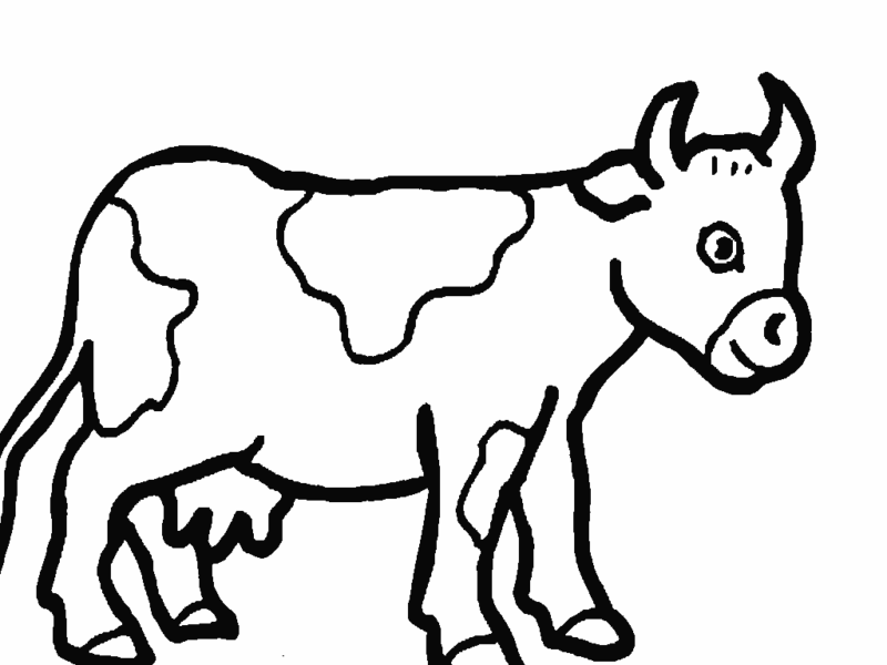 desenho-vaca-imprimir4-800x600.gif