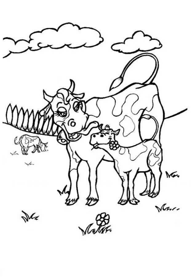 Vacas
