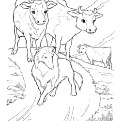 Desenhos para colorir de desenho de uma vaca maluca para colorir online  