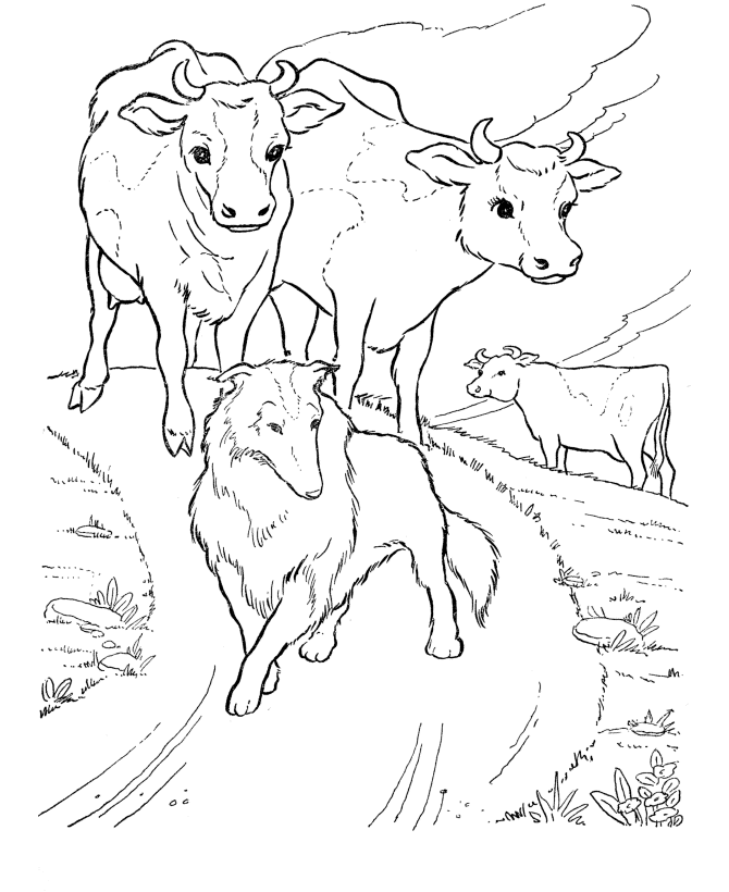 desenho-vaca-imprimir6.gif