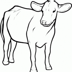 Desenhos para colorir de desenho de uma vaca maluca para colorir online  