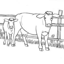 Vacas para imprimir e colorir