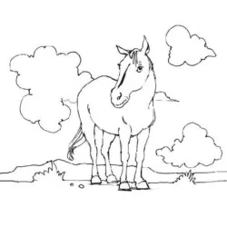 Cavalos para imprimir e colorir