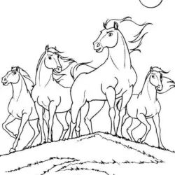 Cavalos para imprimir e colorir