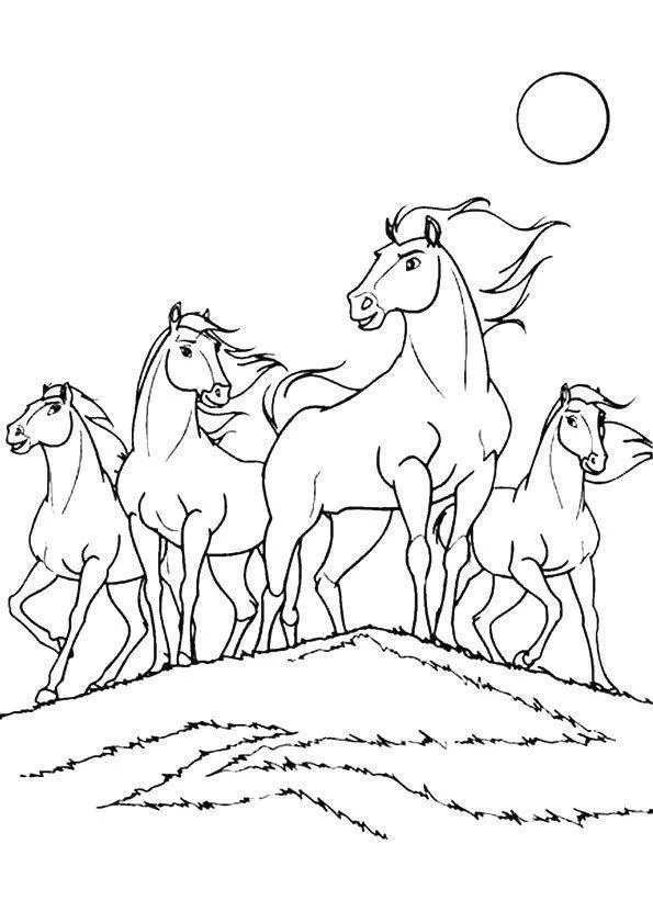 Cavalos