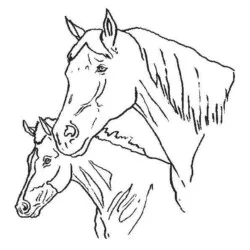 Cavalos para imprimir e colorir
