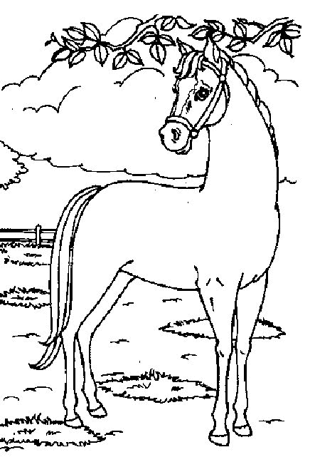 desenhos-cavalos-imprimir11.gif