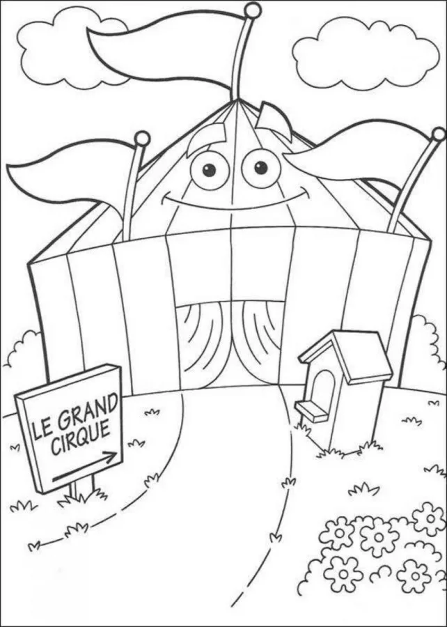 Circo