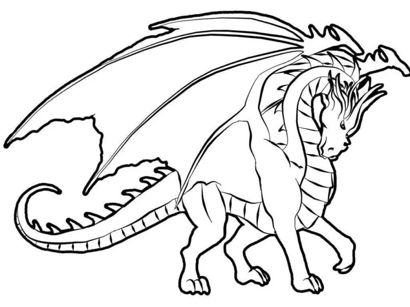 Dragões