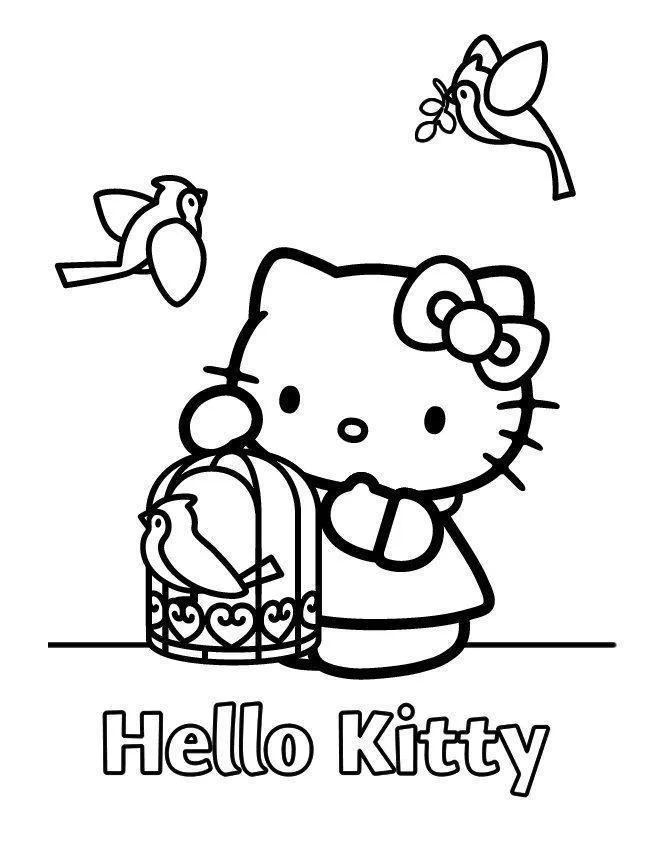 Hello Hitty
