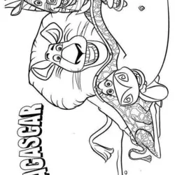 Madagascar para imprimir e colorir