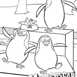 Madagascar para imprimir e colorir